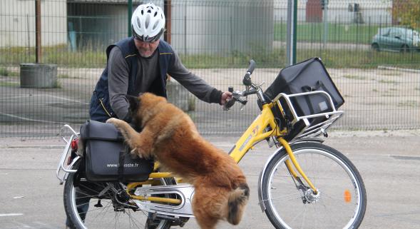 Frédéric Leclerc: photo est républicain 12 octobre 2014